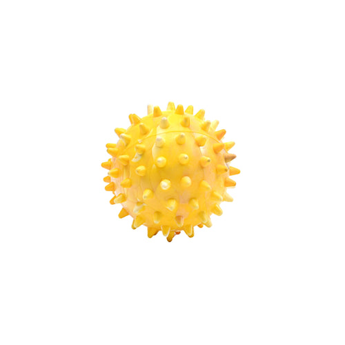 Jucarie minge pentru caini Enjoy Arici 5.5cm - Animax