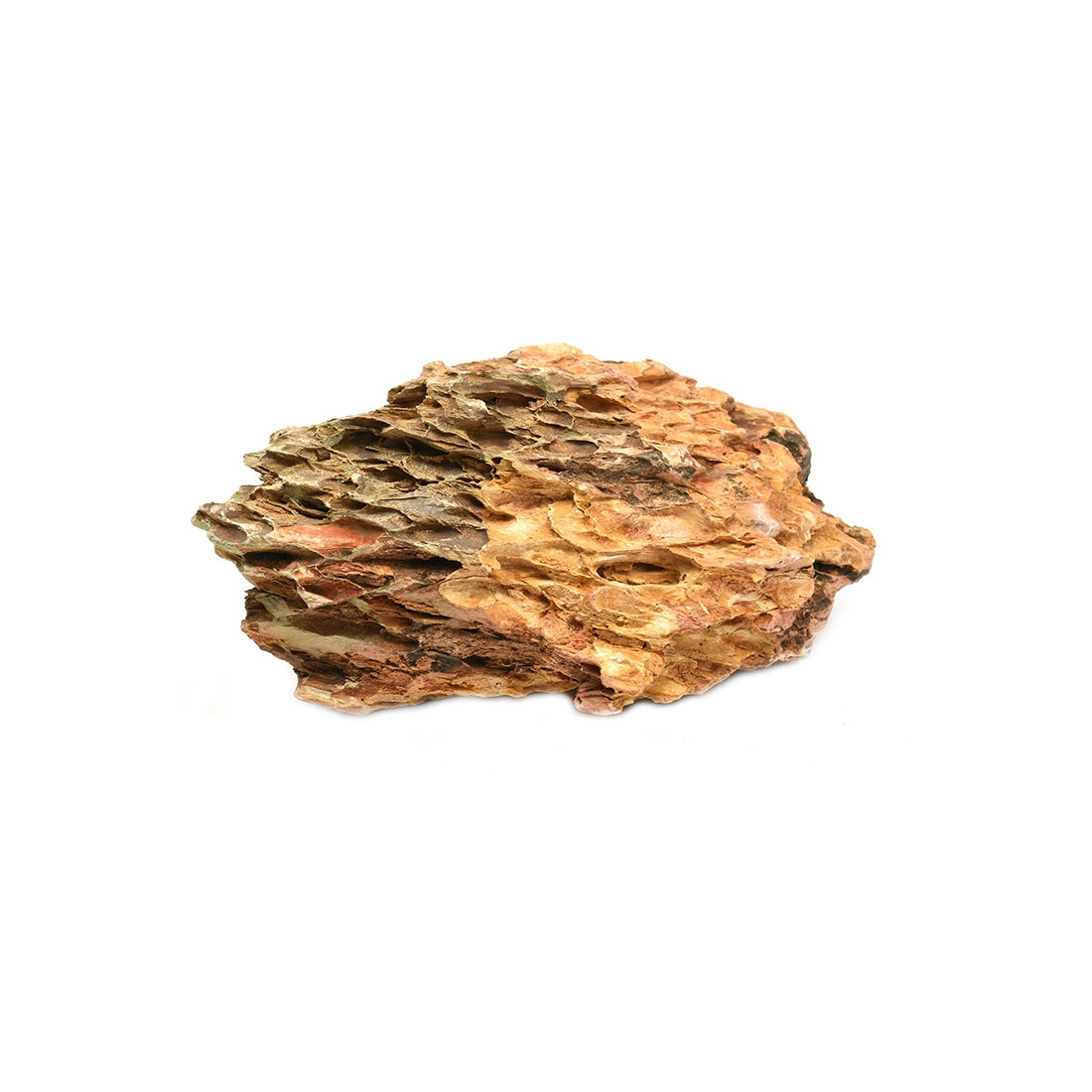 Decor pentru acvariu Roca Bamboo 1-2 Kg - Animax