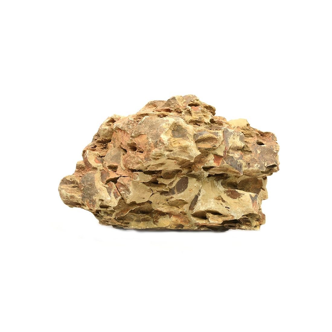 Decor pentru acvariu Roca Bamboo 2-3 kg - Animax