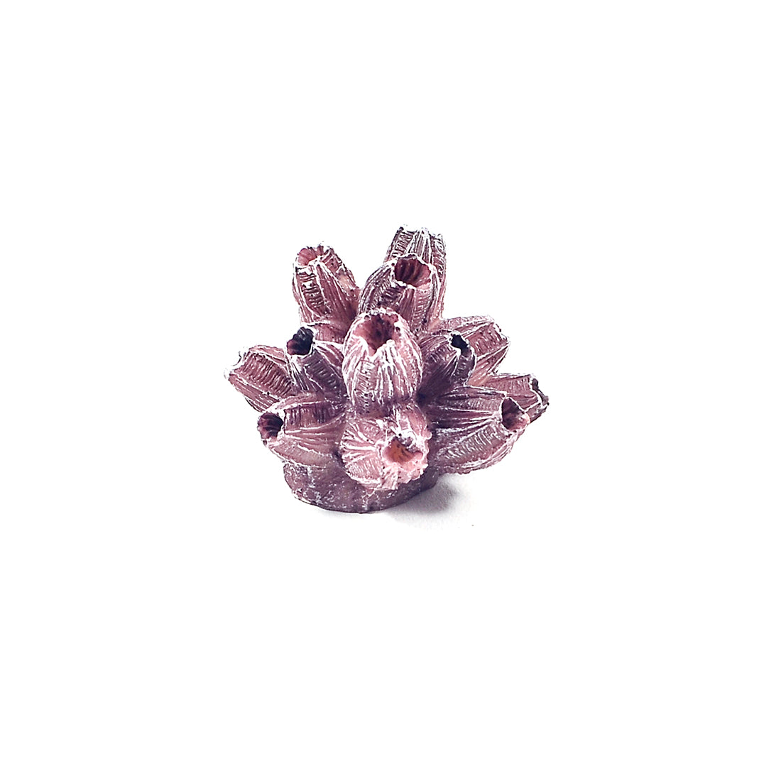 Decor pentru acvariu Enjoy Coral Mini 5x4x4cm - Animax