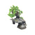 Decor pentru acvariu Enjoy Arbore 28.5x17x25 cm - Animax