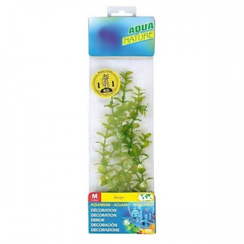 Planta Acvariu 20 cm - Animax