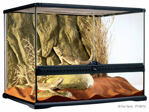 Terariu din Sticla Exo Terra 60x45x45cm - Animax