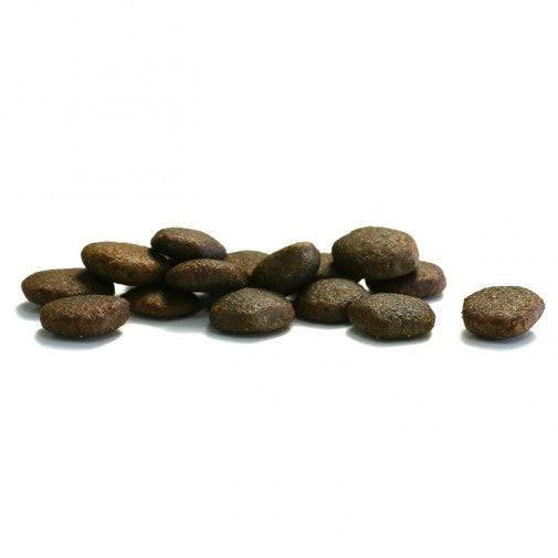 Hrana uscata pentru caini Canagan Grain Free Adult Somon 12kg - Animax