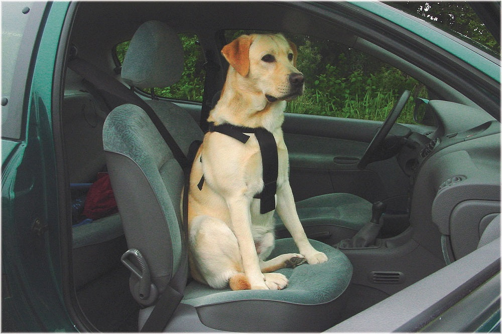Ham de siguranta auto pentru caini Beeztees L 75x90 cm - Animax
