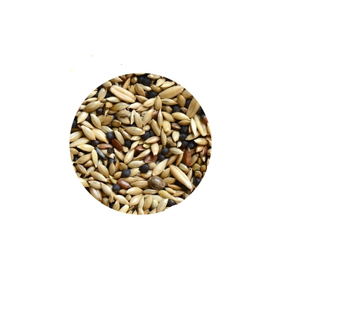 Hrana pentru canari Padovan Natural Mix 1 kg - Animax