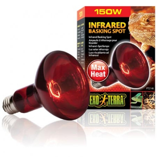 Lampa Heat Glo 150W - Animax