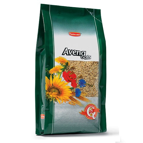 Ovaz Decorticat Padovan Avena 1Kg - Animax