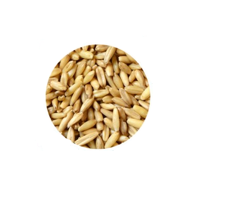 Ovaz Decorticat Padovan Avena 1Kg - Animax