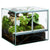 Terariu Diversa 40x30x30 cm - Animax