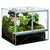 Terariu Diversa 50x30x40 cm - Animax
