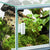 Terariu Diversa 40x30x30 cm - Animax