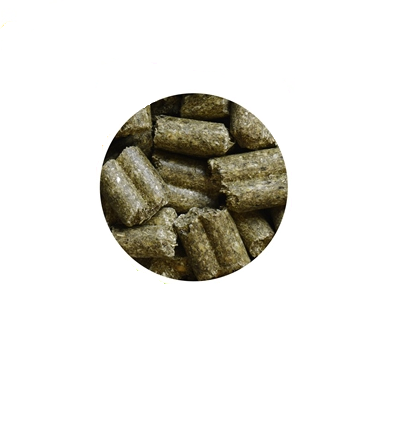 Hrana pentru chinchilla Wellness Chinchilla 1 kg - Animax