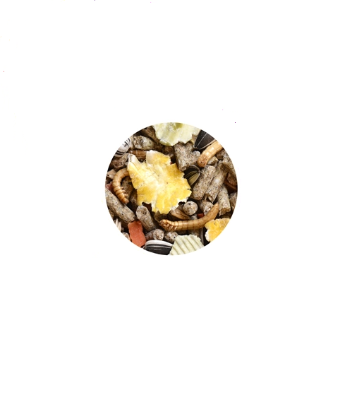 Hrana pentru hamsteri Wellness Hamsteri 1 kg - Animax