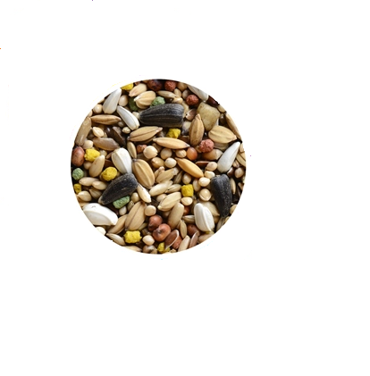 Hrana pentru agapornisi Wellness 850g - Animax