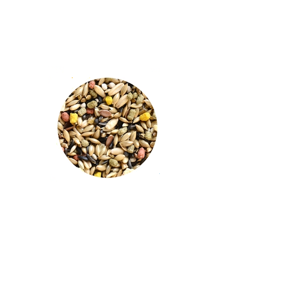 Hrana pentru canari Wellness 1kg - Animax