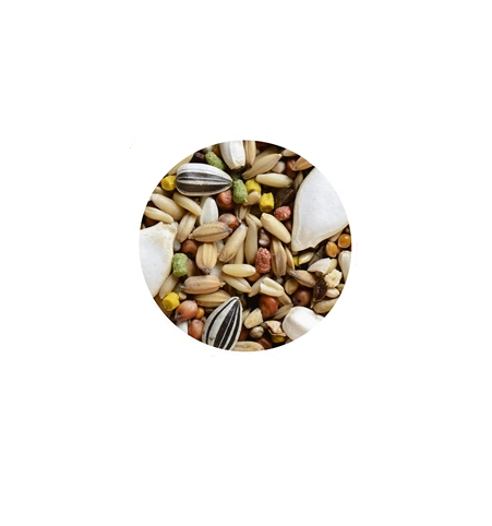 Hrana pentru nimfe Padovan GrandMix 850g - Animax