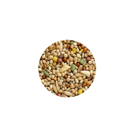 Hrana pentru perusi Wellness 1 kg - Animax