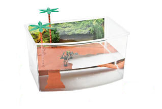 Bazin pentru broaste testoase 27x19x15cm - Animax