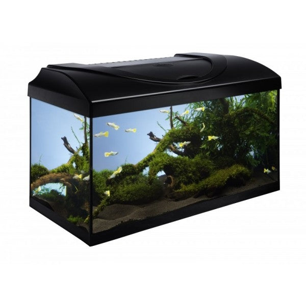 Acvariu din sticla cu led 13W Diversa LED 60x30x30cm 54 L - Animax