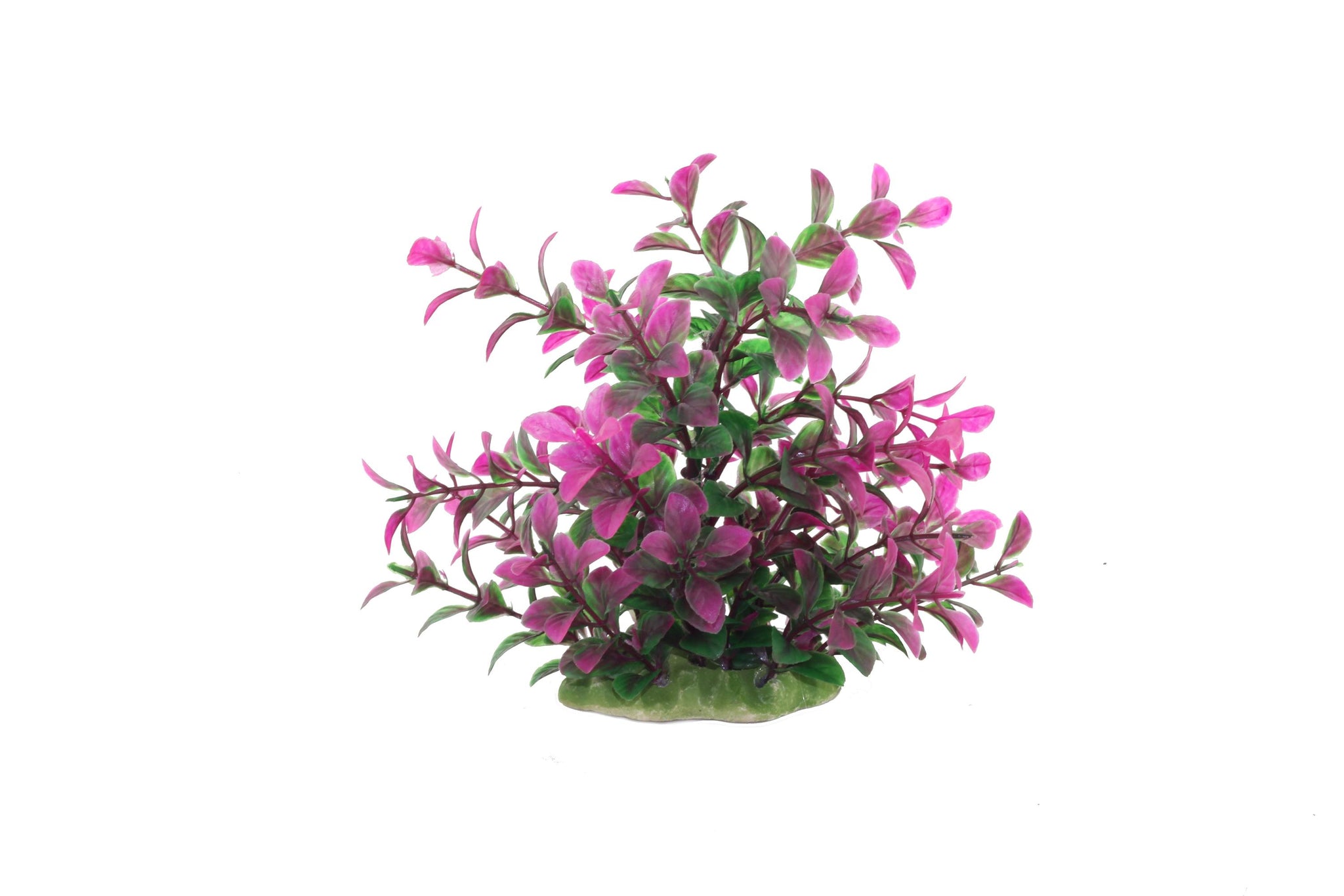 Decor pentru acvariu Rotala Rotundfoliu 16cm - Animax