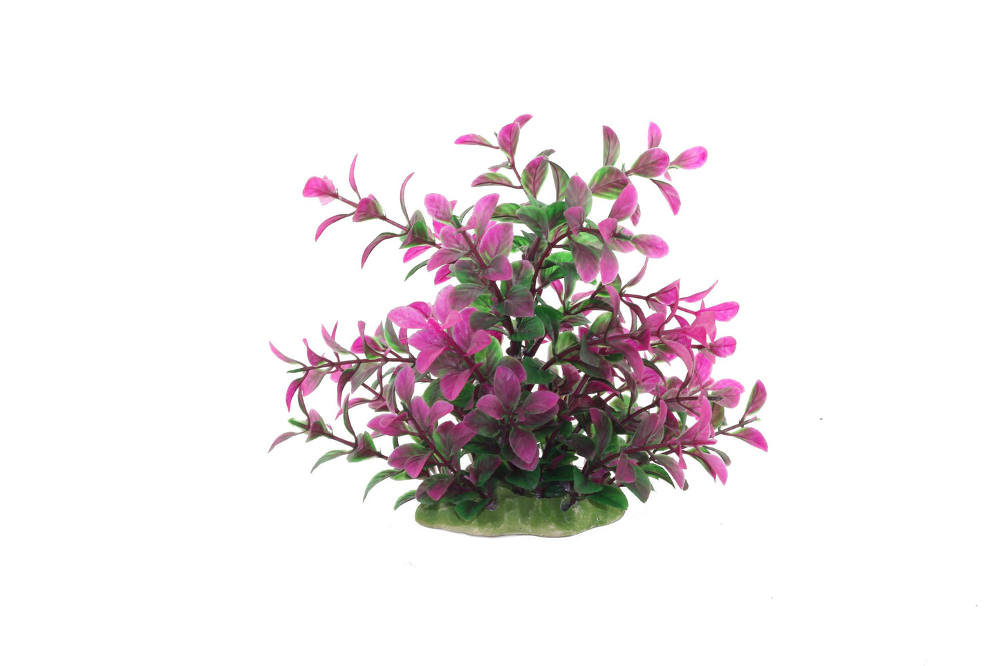 Decor pentru acvariu Rotala Rotundfoliu 16cm - Animax
