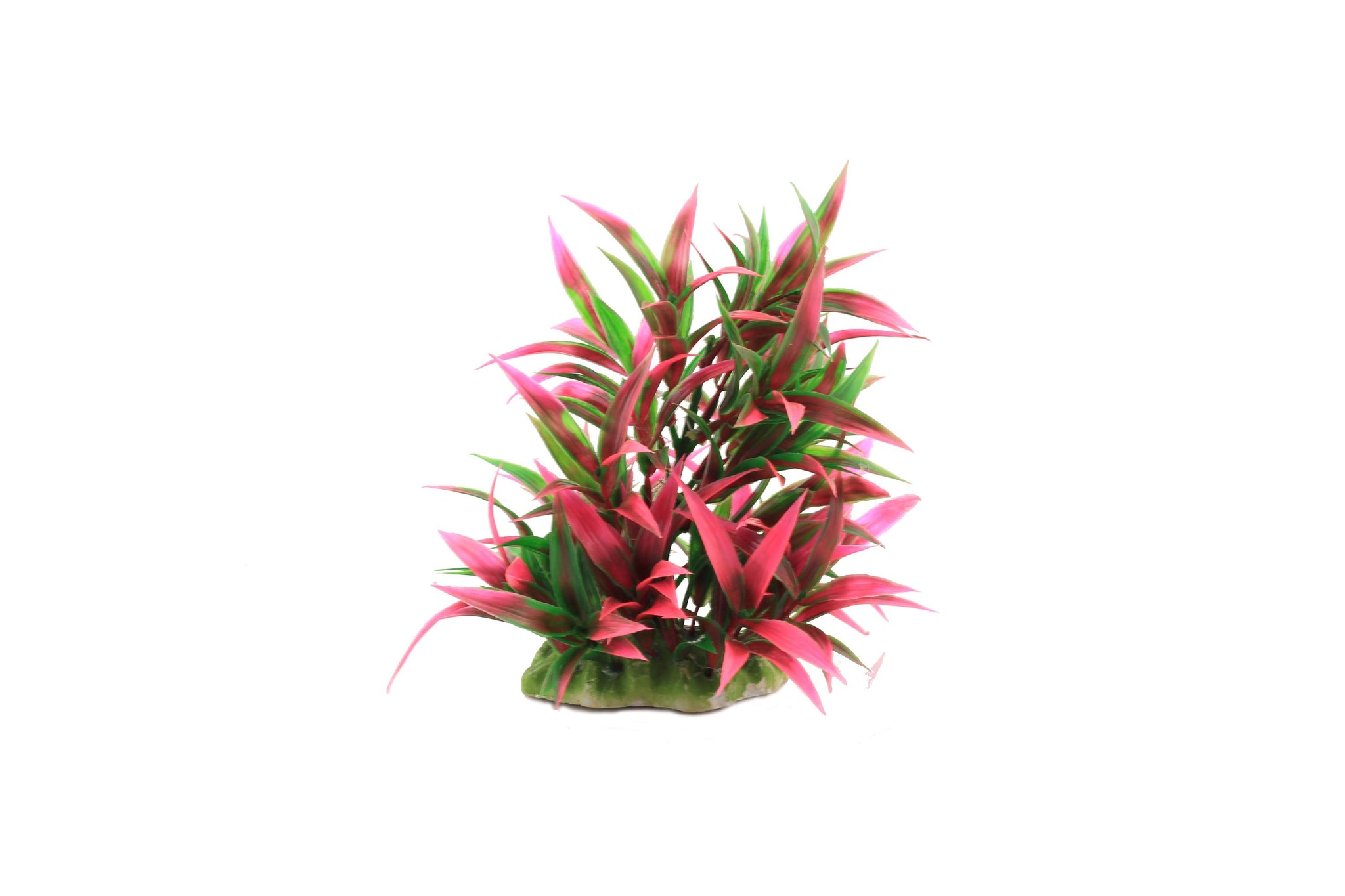 Planta decorativa pentru acvariu Rotala Macrandra 16cm - Animax
