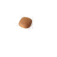 Hrana uscata pentru caini Royal Canin Bichon Frise Adult 1.5 kg - Animax