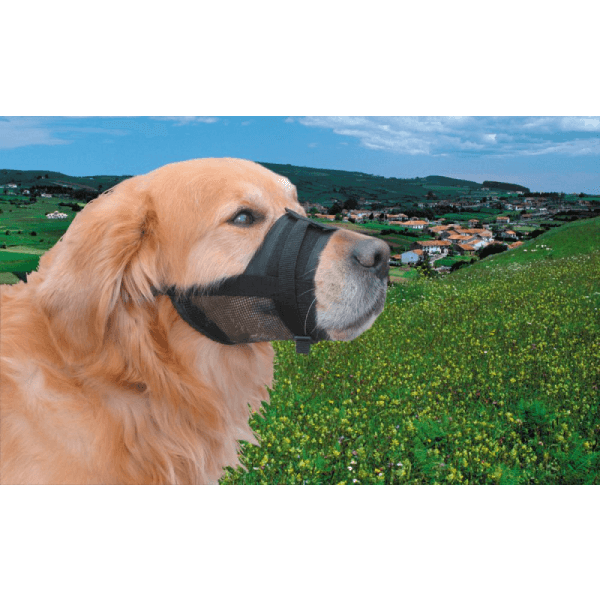 Botnita reglabila pentru caini Nobby 15-20cm - Animax