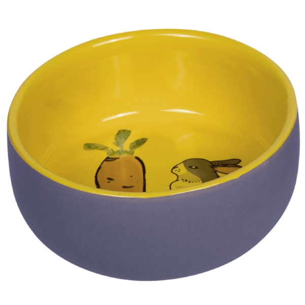 Castron ceramic pentru rozatoare Nobby Carrot Plus 11cm - Animax