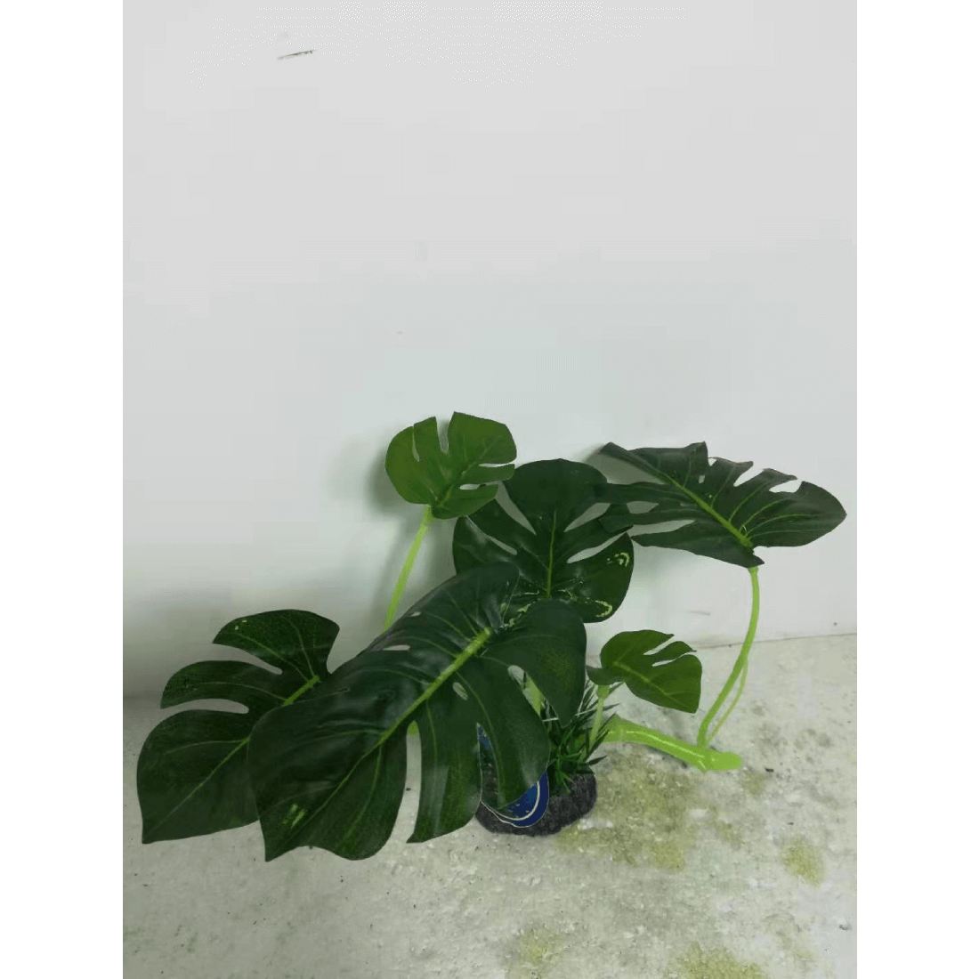 Decor pentru acvariu Enjoy Planta plastic 17x20cm 76001 - Animax