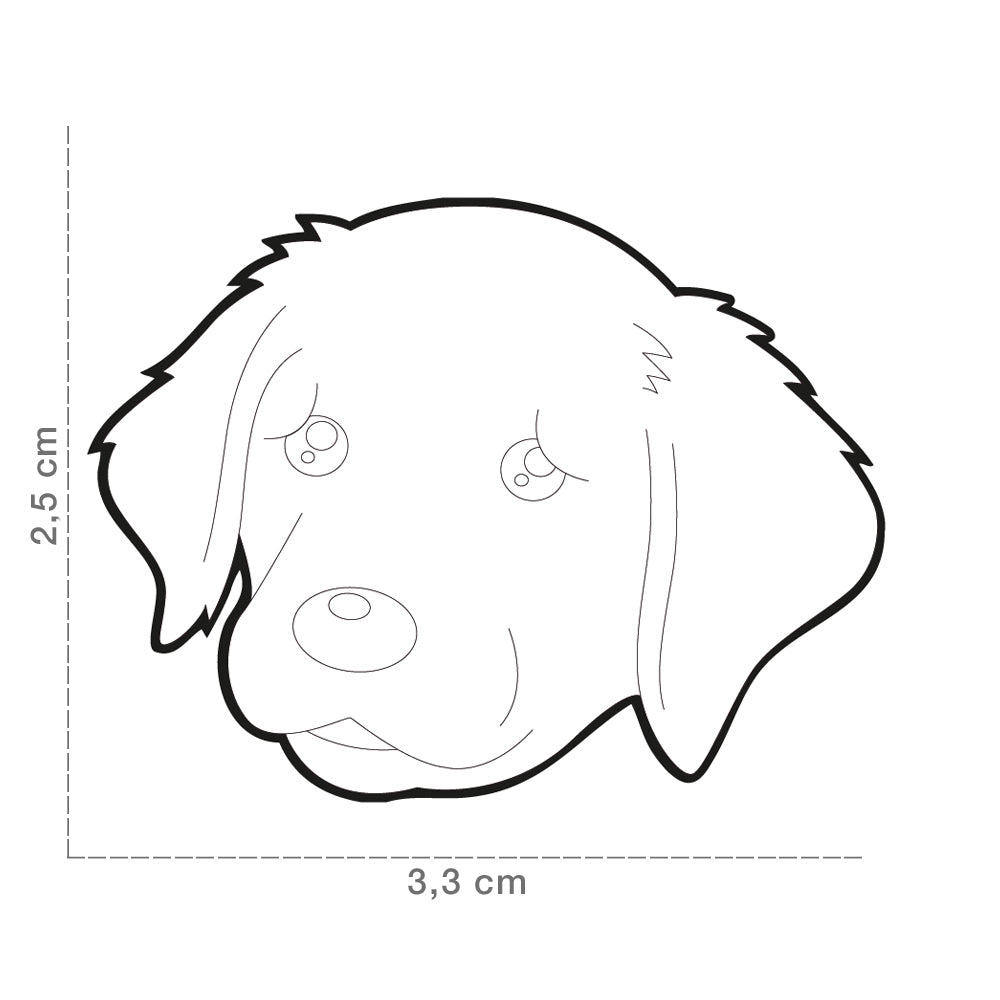 Medalion tag pentru caini MyFamily Golden Retriever - Animax