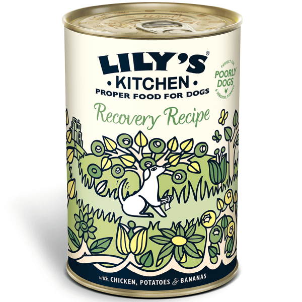 Hrana umeda pentru caini Lily's Kitchen Dog Recovery 400g - Animax