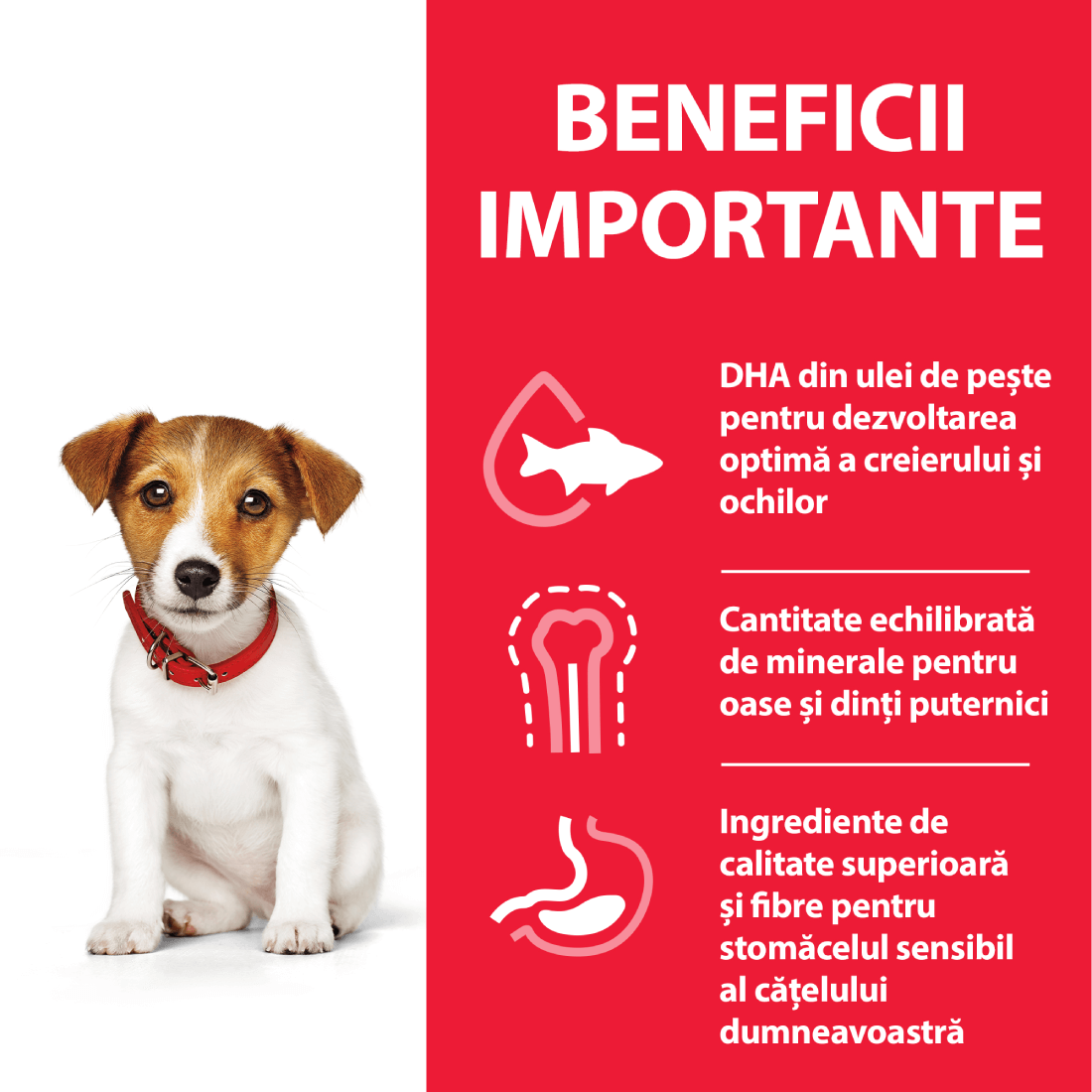 Hrana uscata pentru caini Hill's Science Plan Small & Mini Puppy Chicken 6kg - Animax