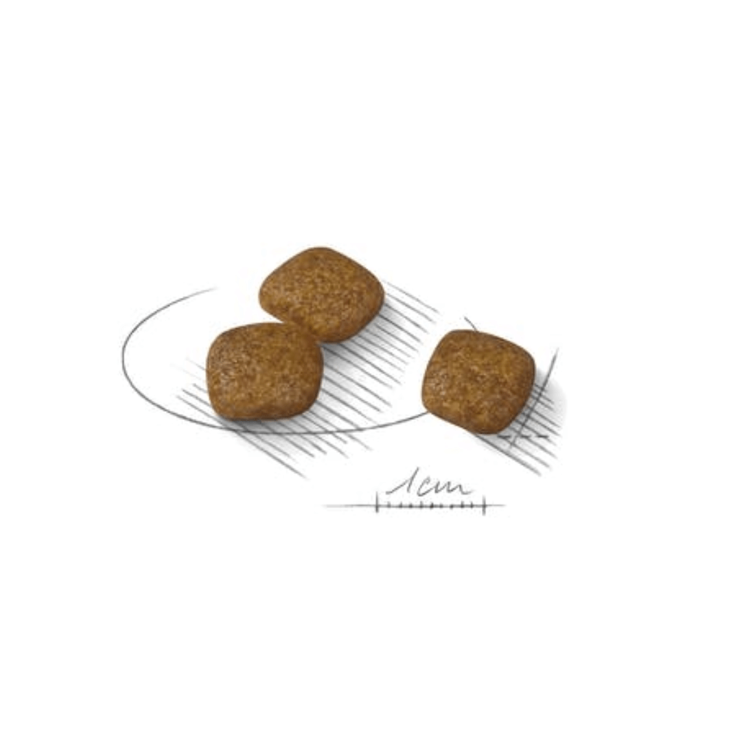 Hrana uscata pentru caini Royal Canin Mini Urinary Care 1kg - Animax
