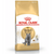 Hrana uscata pentru pisici Royal Canin British Shorthair Adult 2 kg - Animax