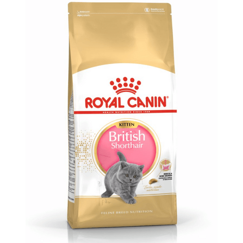 Hrana uscata pentru pisici Royal Canin British Shorthair Kitten 400g - Animax