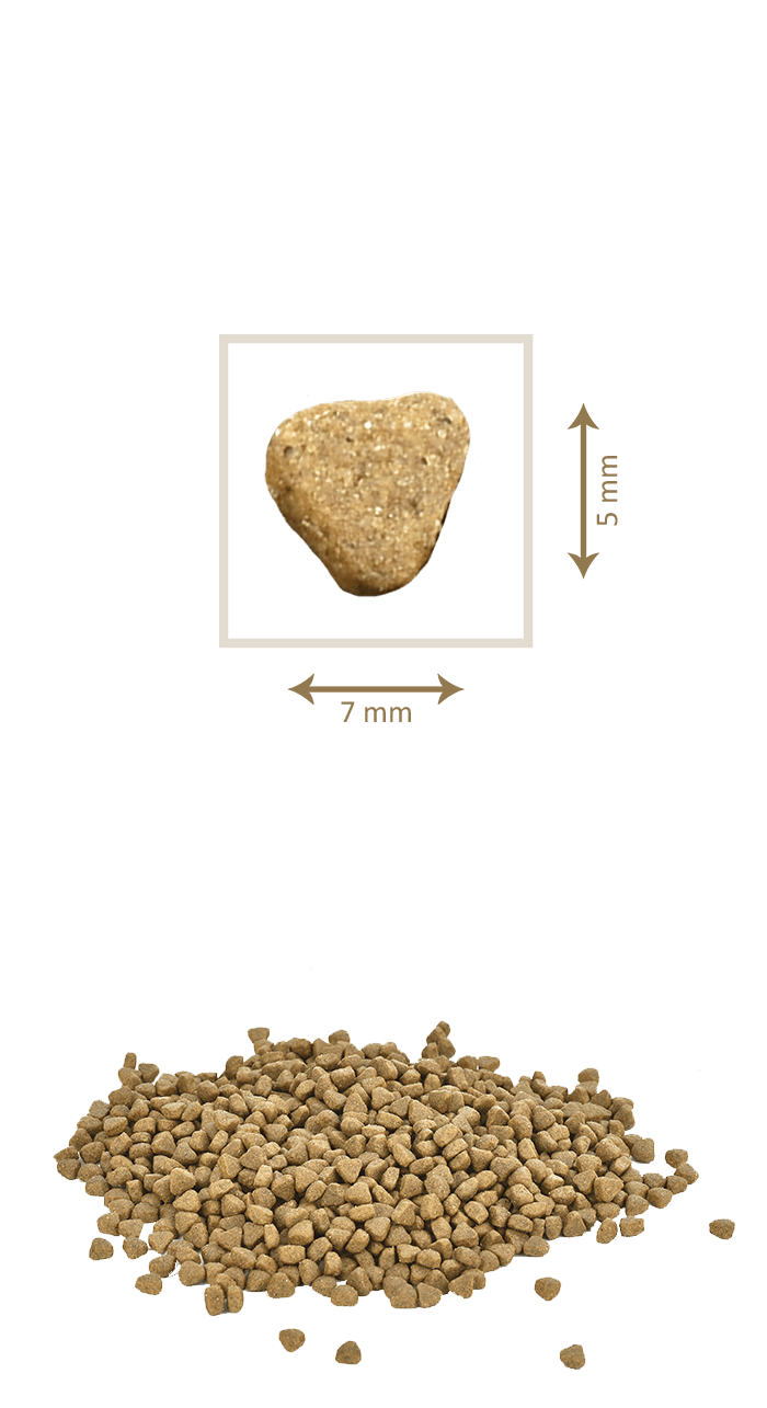 Hrana uscata pentru pisici Petkult Gourmandise 7 kg - Animax
