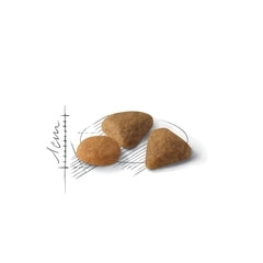 Hrana Uscata pentru pisici Royal Canin Exigent Savour 2 kg - Animax