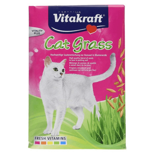 Iarba pentru pisici Vitakraft Cat Grass 50g - Animax