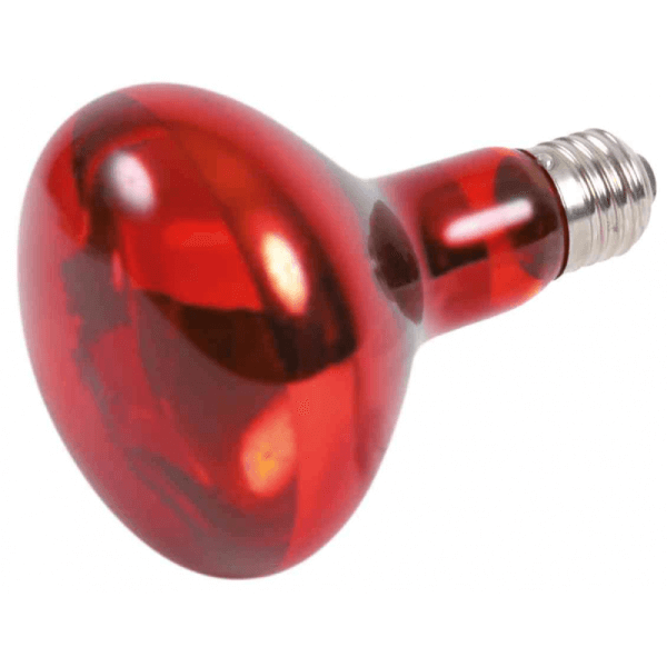 Lampa infrarosu pentru terariu Trixie Reptiland 80x108mm 100W - Animax