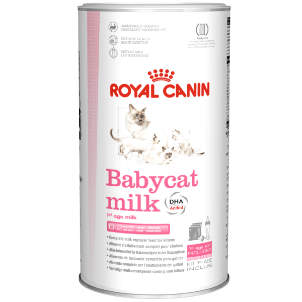 Lapte praf pentru pisici Royal Canin Babycat Milk 300g - Animax