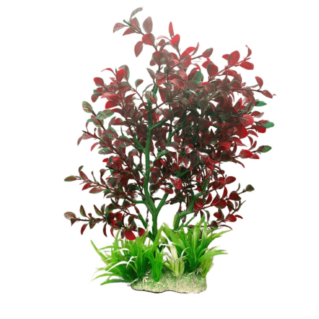 Planta decorativa pentru acvariu Cryptocoryne 15 cm - Animax