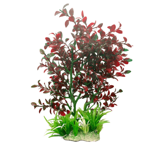 Planta decorativa pentru acvariu Cryptocoryne 15 cm - Animax