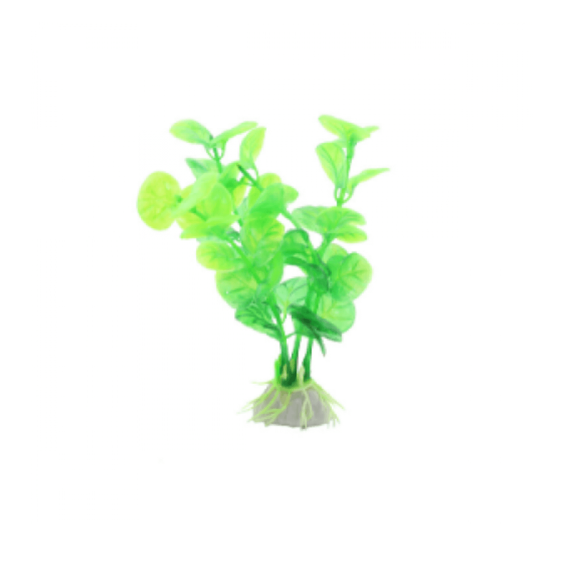 Planta decor pentru acvariu Enjoy Bacopa verde 10 cm - Animax