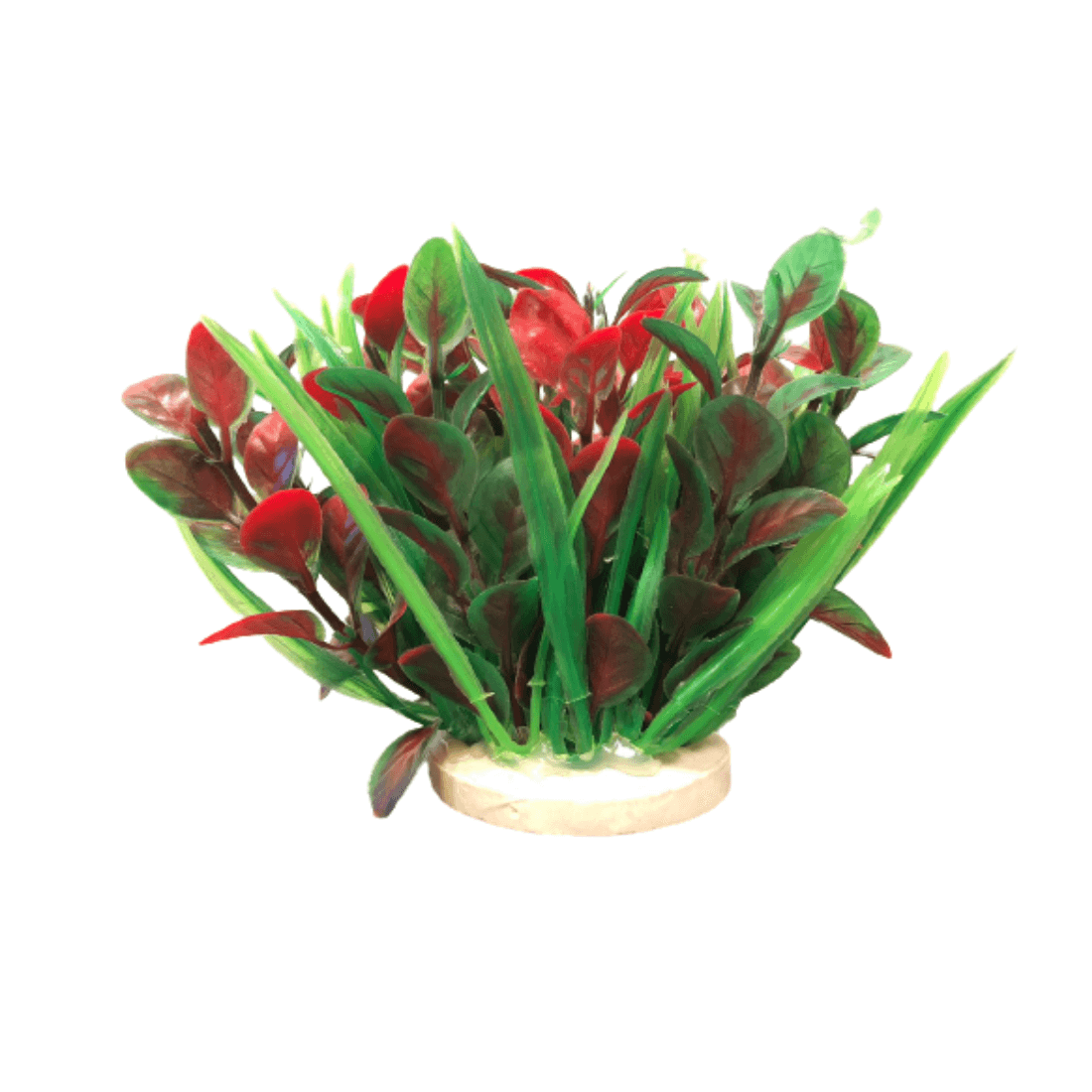 Planta decorativa pentru acvariu Cordyline 10cm - Animax