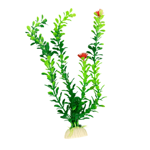 Planta decorativa pentru acvariu Enjoy Egeria 20cm - Animax