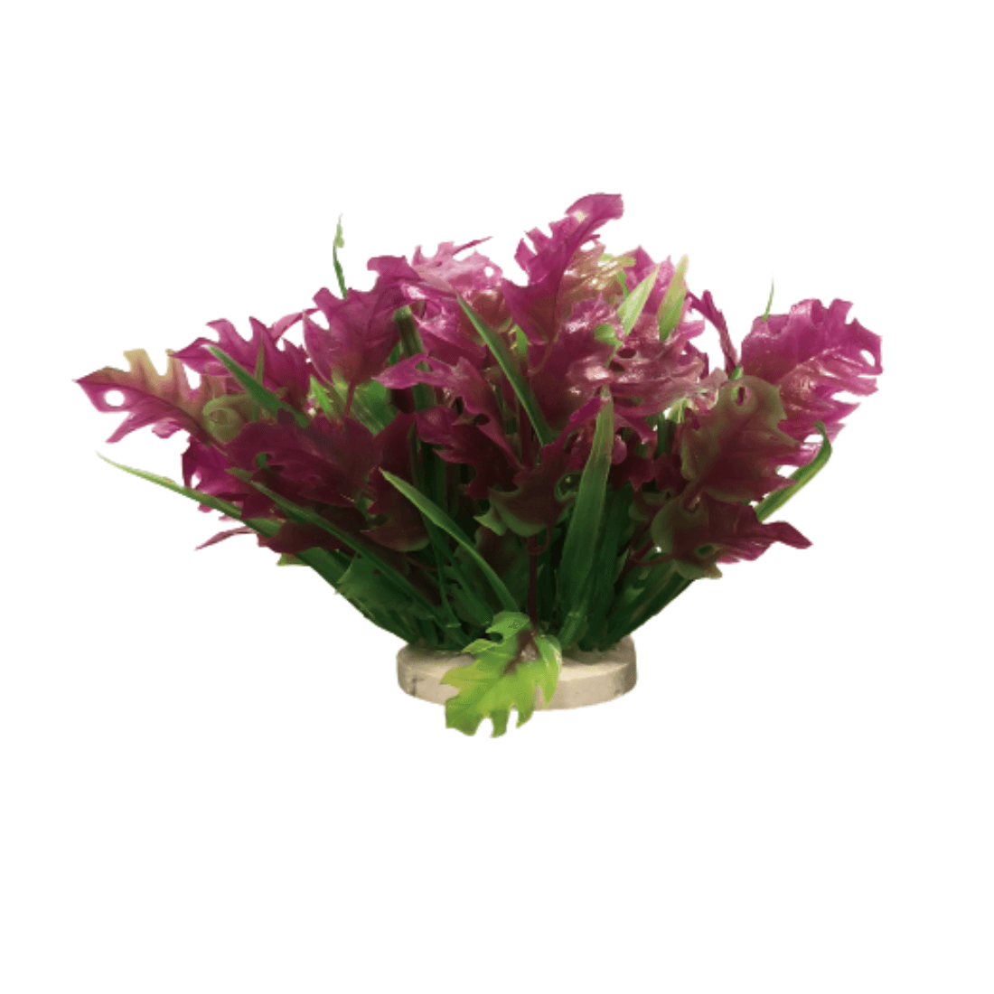 Planta decorativa pentru acvariu Nesaea Enjoy 10cm - Animax