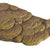 Insula pentru testoase Exo Terra Large 40.6x24x7cm - Animax