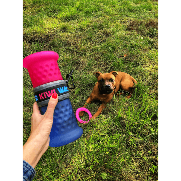 Recipient pentru apa-hrana Kiwi Walker 2in1 Pink Blue 750ml-500ml - Animax